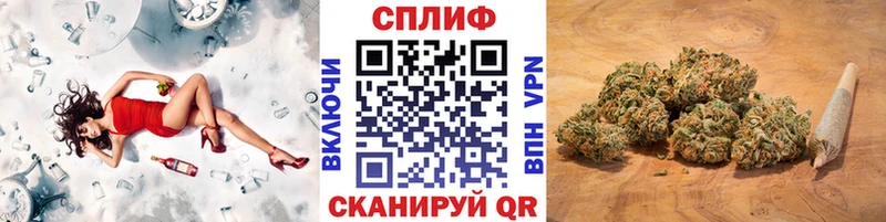 Канабис гибрид  Сусуман 